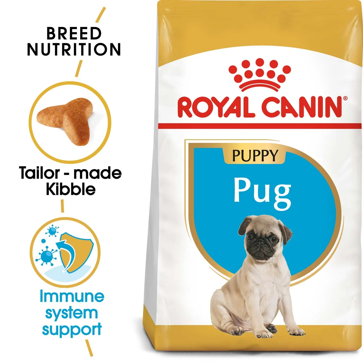 ROYAL CANIN Pug Puppy Welpenfutter trocken für Mops bei ZooRoyal