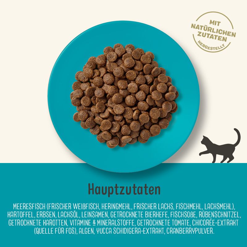 Applaws Adult Meeresfisch mit Lachs zu TOP-Preisen