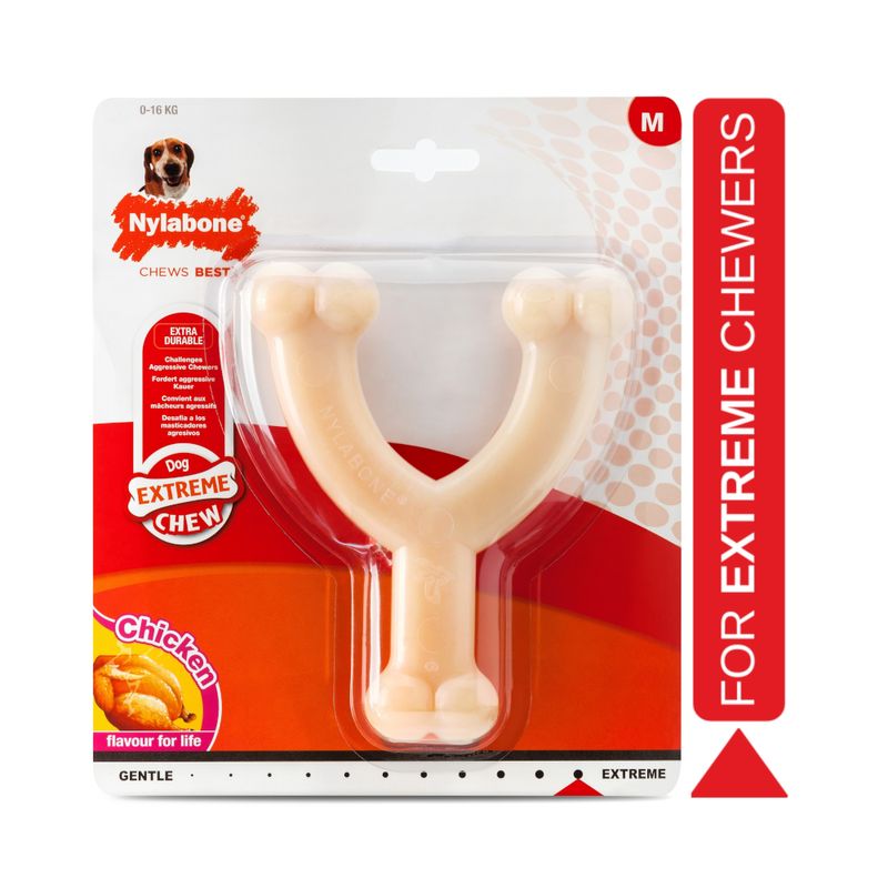 Nylabone Wishbone Kauspielzeug mit Hühnchengeschmack | bitiba %