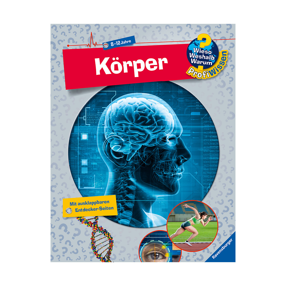 WWW Profiwissen Körper