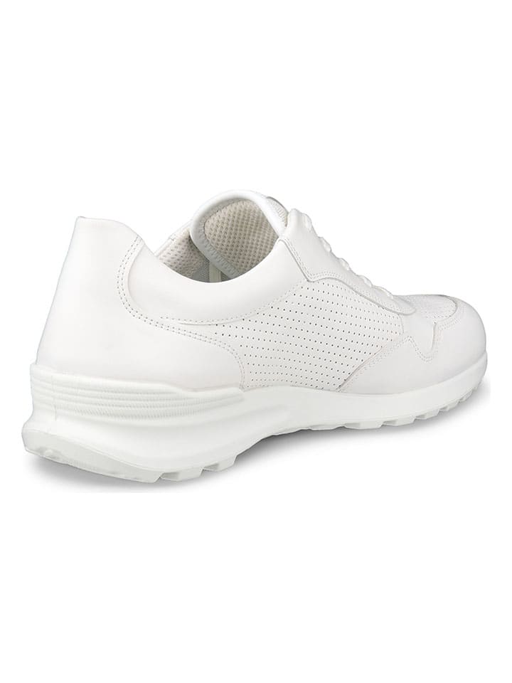 Ecco Leder-Sneakers 