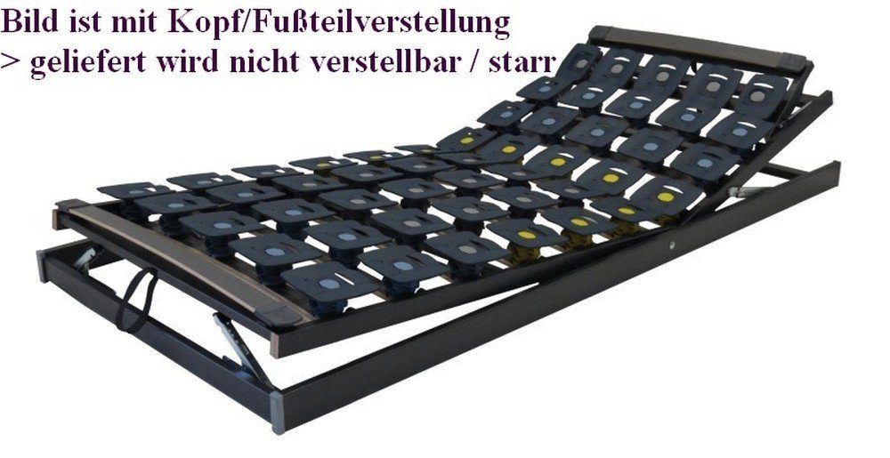 Tellerlattenrost Wellness Pur NV - für Doppelbett, starr, Bettenkiste