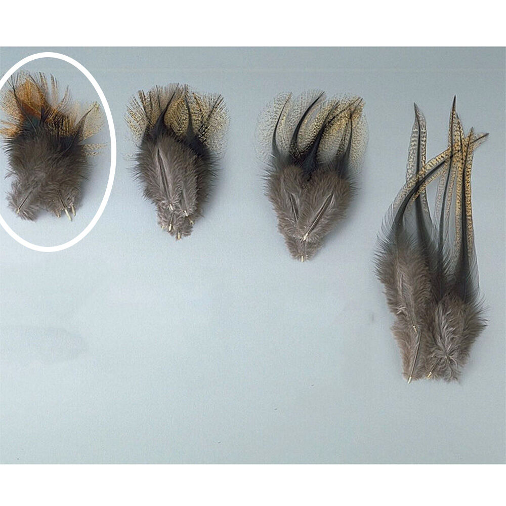Pack of parrot feathers (40 feathers)