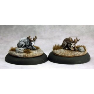 Jackalopes (2) [REA59024]