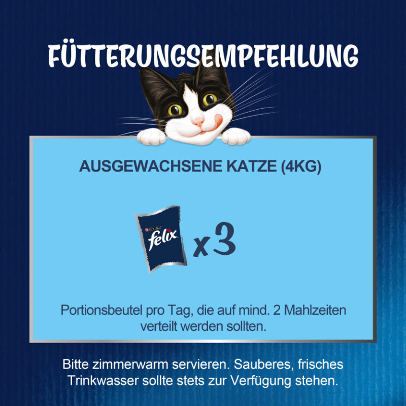 Felix Nassfutter Felix So gut wie es aussieht Senior 12x85g