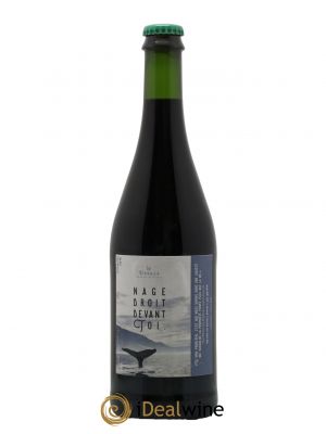 Vin de France Nage droit devant toi Domaine les Ussels 2021 - Lot de 1 Bouteille