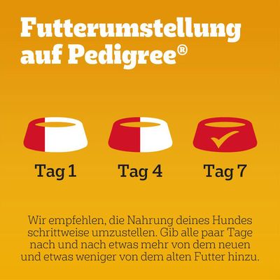 Pedigree Junior Frischebeutel Multipack