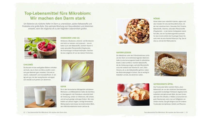 Die Ernährungs-Docs - Gesund abnehmen mit der Darm-fit-Formel
