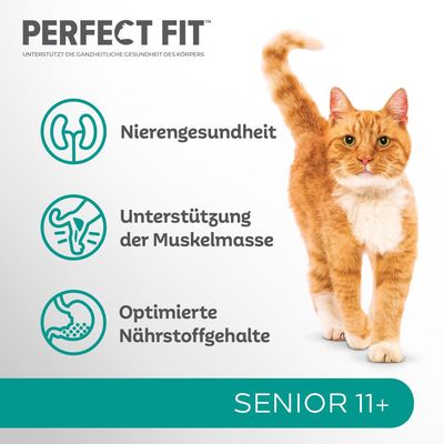 Perfect Fit Senior 11+ reich an Huhn