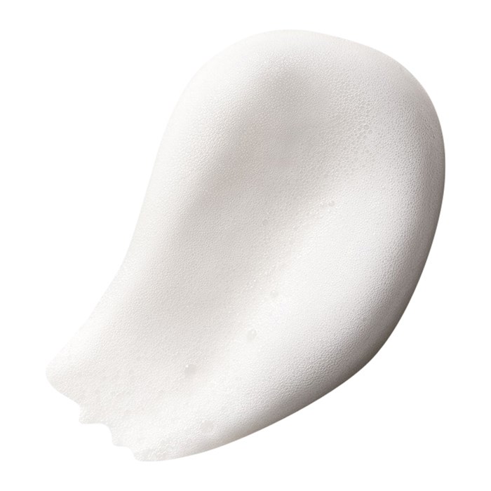 Fiber Grooming Foam