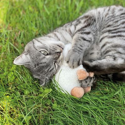 Aumüller Baldrian-Katzenspielkissen Schäfchen Sally
