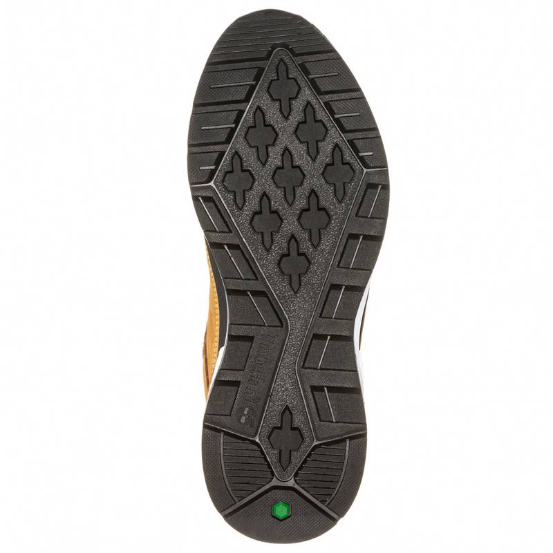 TIMBERLAND Field Trekker Sneaker Herren
