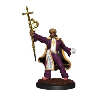 D&D Nolzur's Marvelous Miniatures - Human Wizard Male