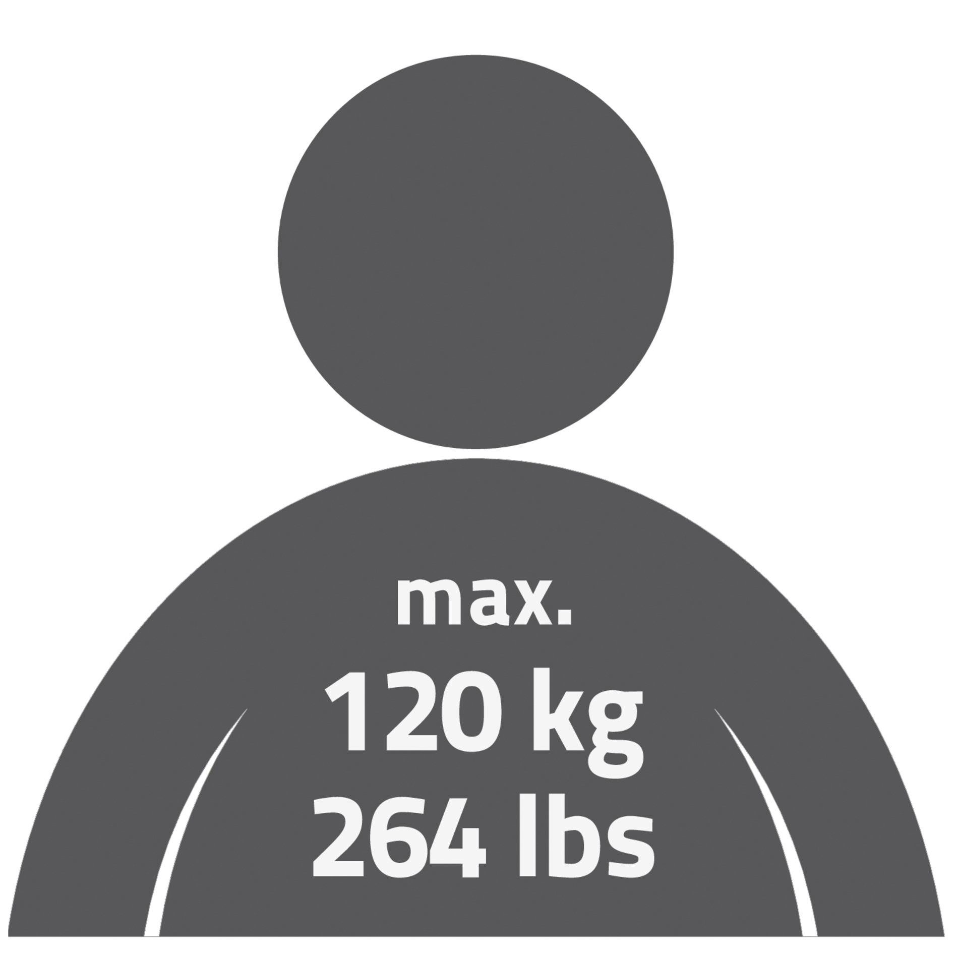 Ridder Badewannen-Einstiegshilfe Premium, belastbar bis 120 kg, mit Saugnapf