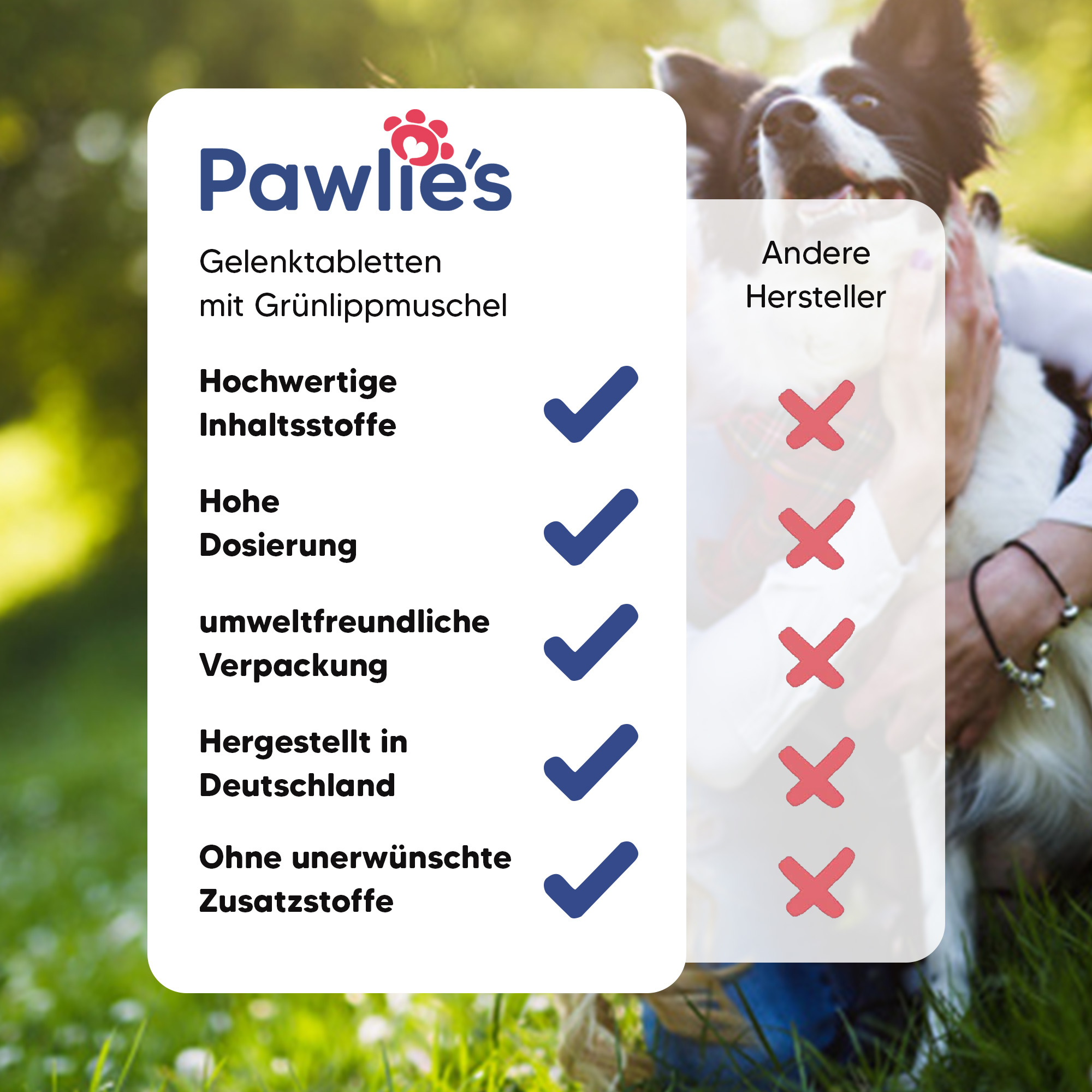 Pawlie's Ergänzungsfutter & Aufzucht Pawlie's Gelenk Fit Tabletten Hund (100 Stück)