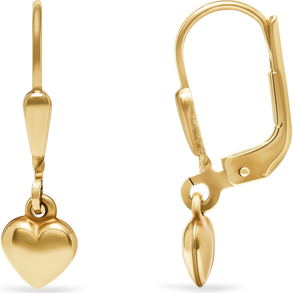 FAVS Boucles d'oreilles 375 Or jaune Boucles d'oreilles