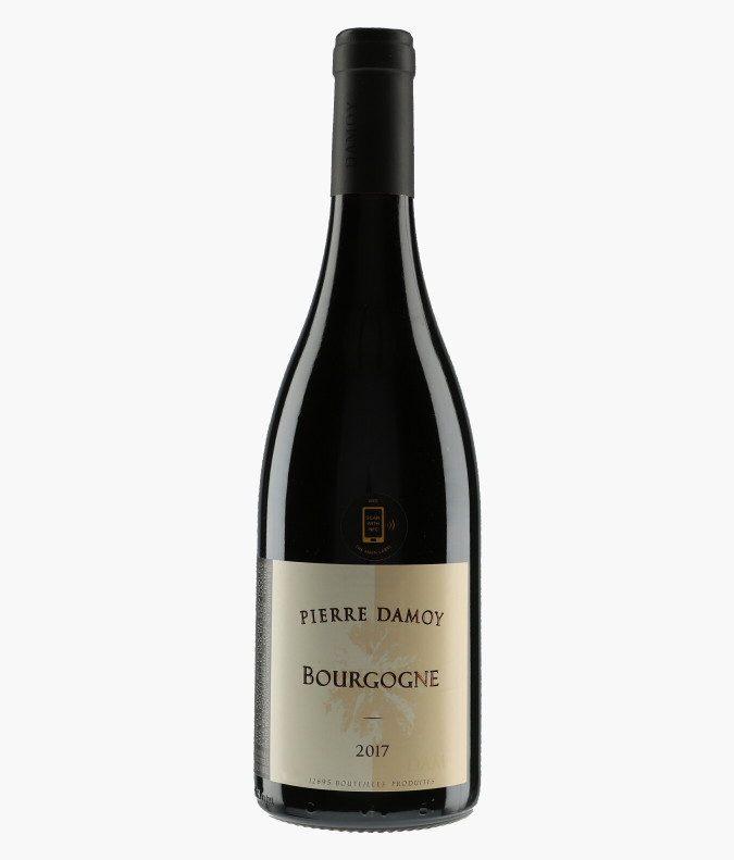 Bourgogne 2017DAMOY PIERRE