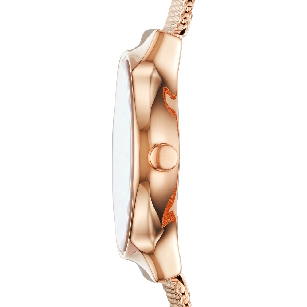 Skagen Montre pour femme Acier inoxydable Montre