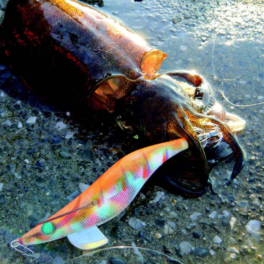 Jig yamashita egi sutte r 2.2 6,6 cm přírodní fosfo