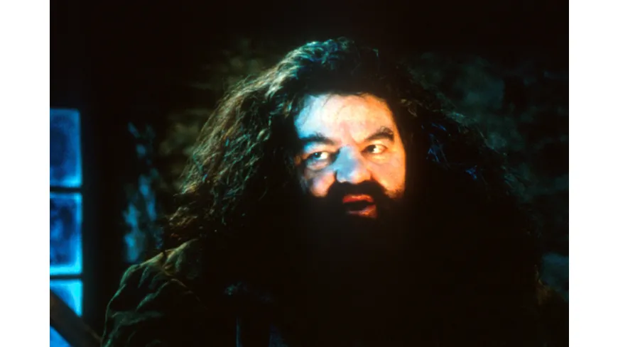 Harry Potter und der Stein der Weisen - Jubiläums-Edition 20 Jahre Magische Momente - Magical Movie Mode[2 BRs]