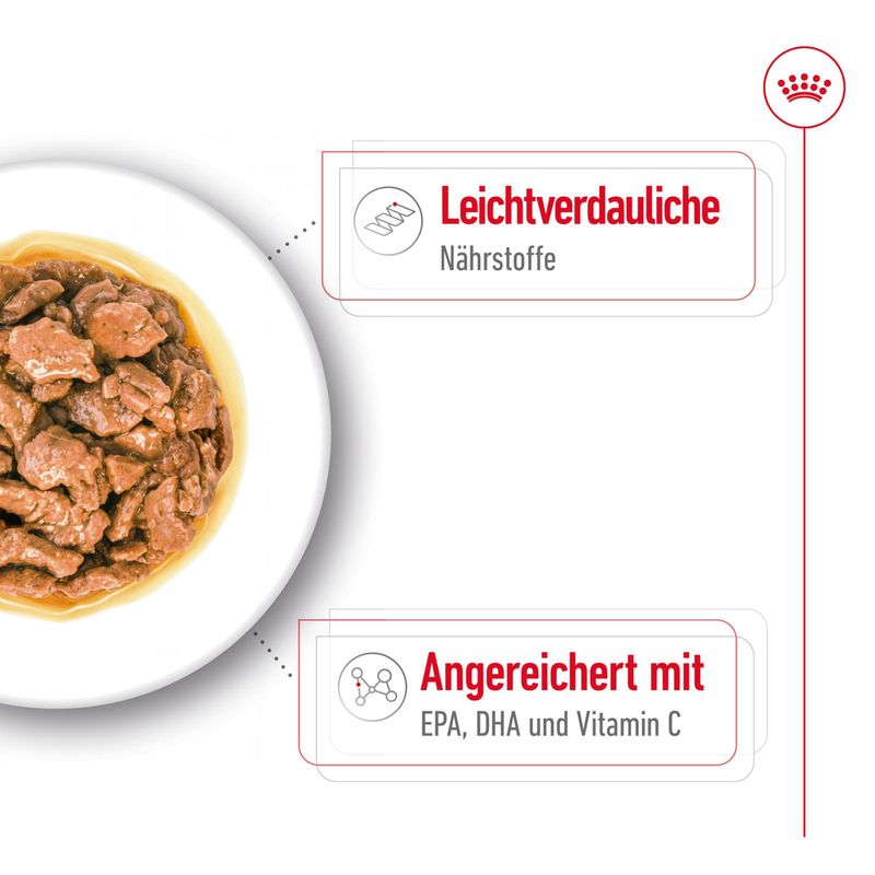 Royal Canin X-Small Adult in Soße
