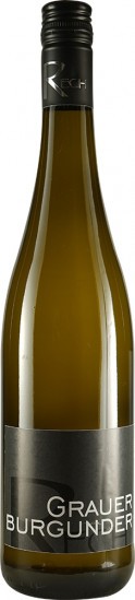2021 Grauer Burgunder trocken - Weingut Kim Rech