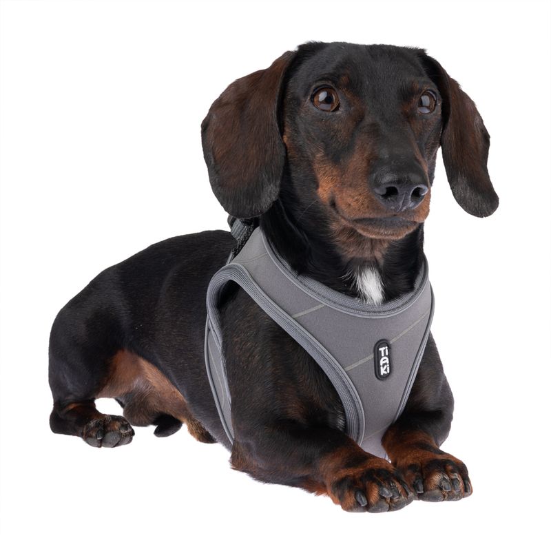 TIAKI Geschirr Wave Vest, anthrazit zu TOP-Preisen