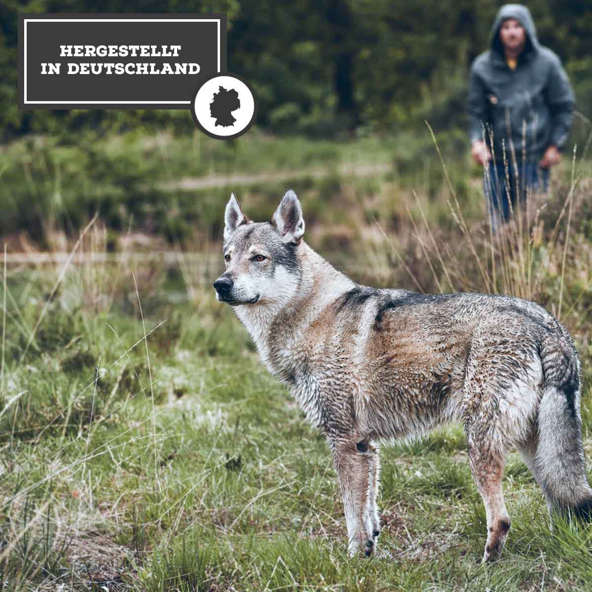 MOON Ranger Fisch reich an Huhn günstig kaufen