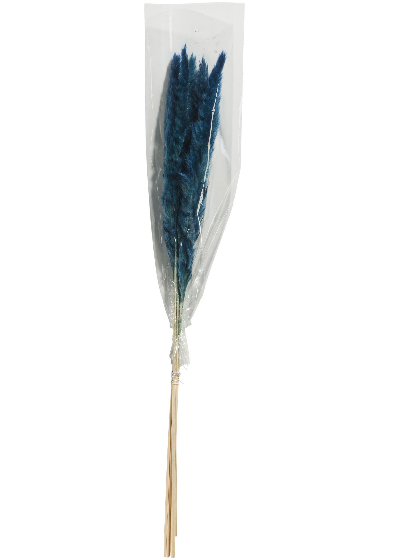 Pampasgrasbündel 6er Trockenblume, Pacific Blue