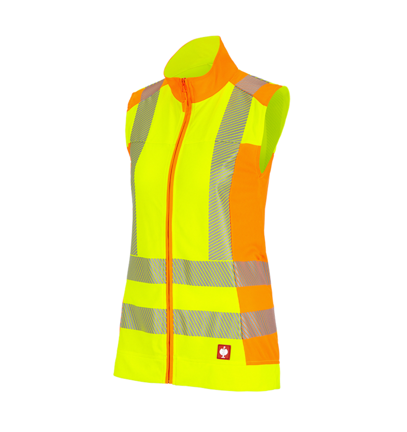 Warnschutz Funktions Weste e.s.motion 2020, Damen