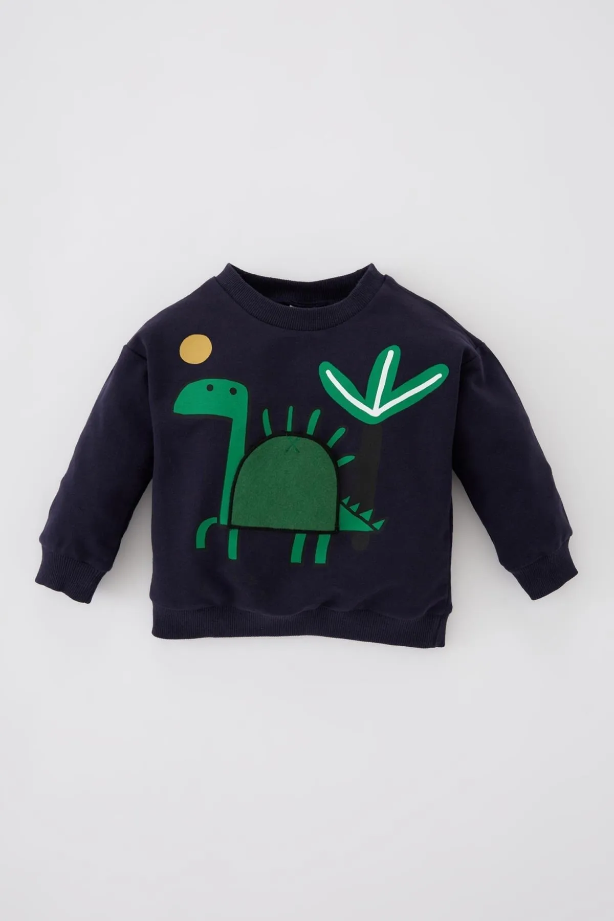 DeFacto  Sweatshirt mit Dinosaurier-Aufdruck für Babys