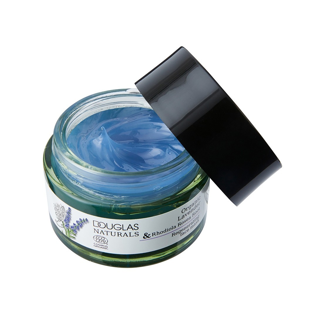 Regenerating Face Mask