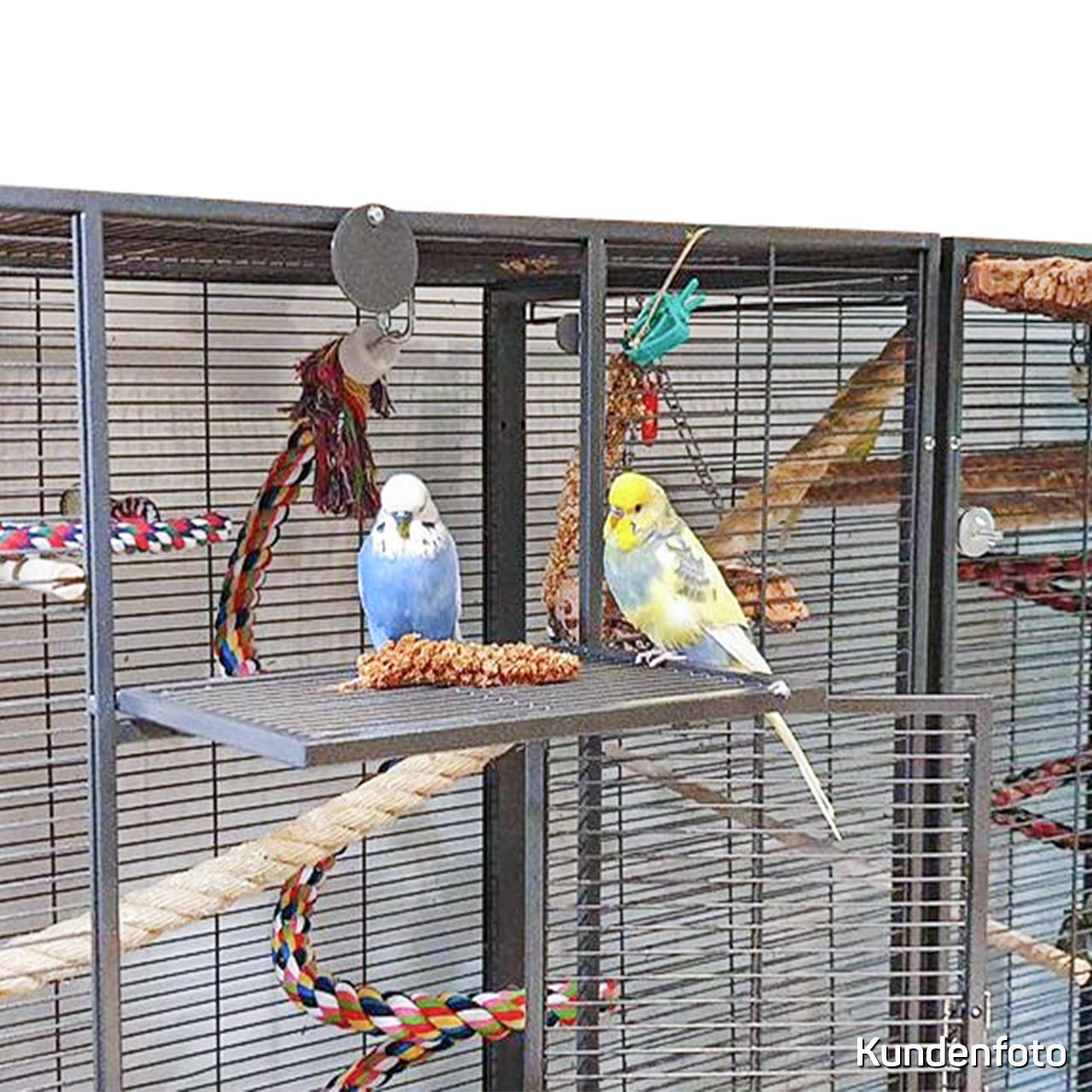Montana Cages Käfige & Volieren Montana Cages Vogelkäfig New Madeira Double dunkelgrau
