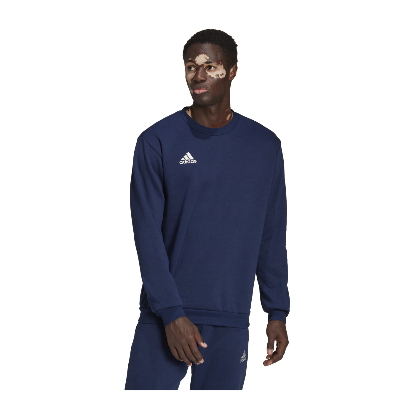 adidas Entrada 22 Sweatshirt Blau