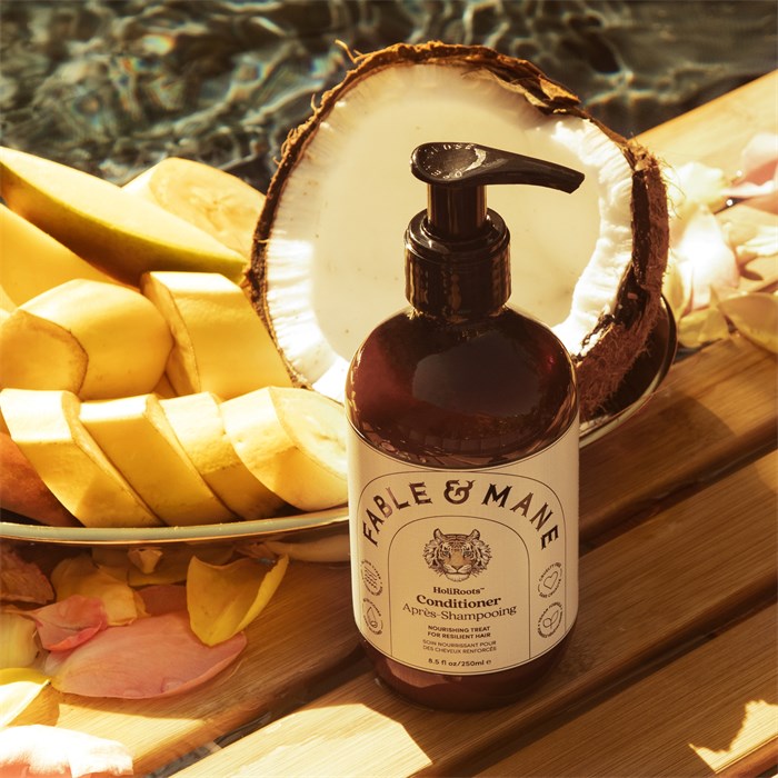 Conditioner