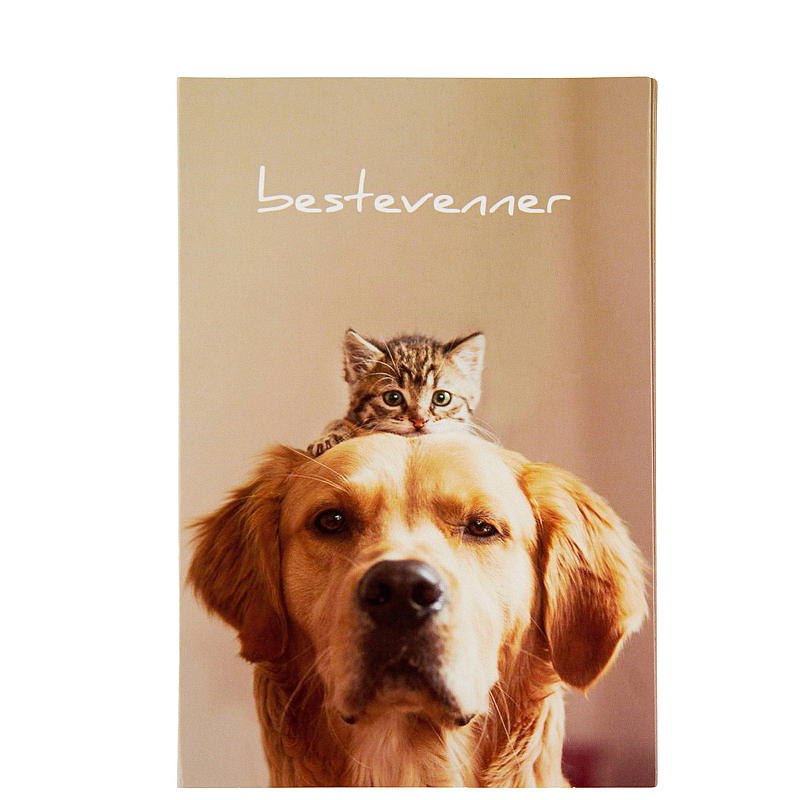 Kort hund & katt best friends
