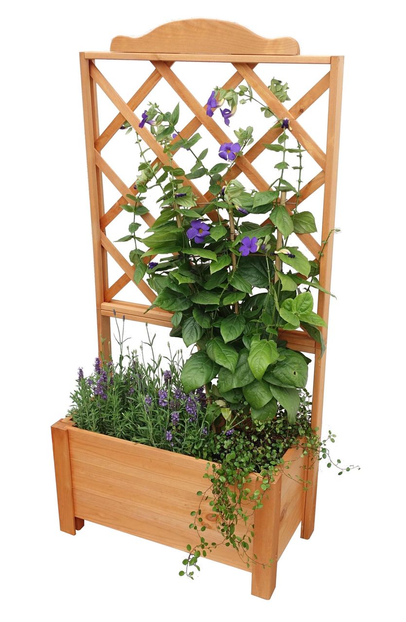 PROMEX Promadino Rankkasten Botanica 69x140 cm