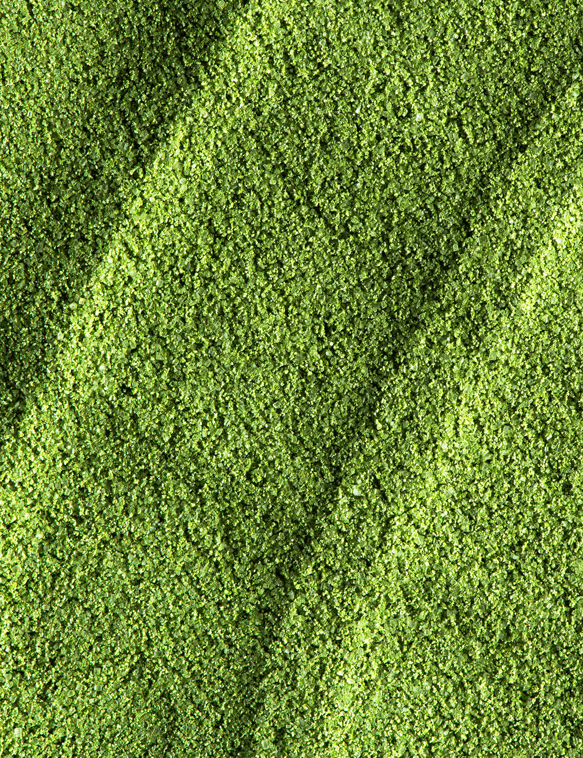 Étui 12 sticks matcha latte-12 sticks