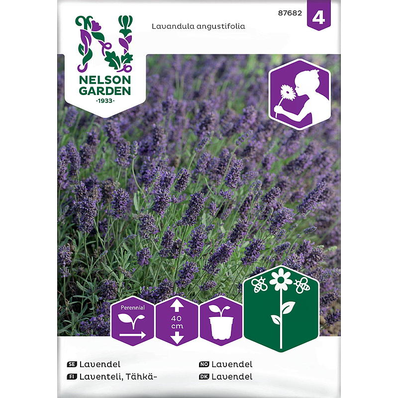 Nelson garden Frø Lavendel