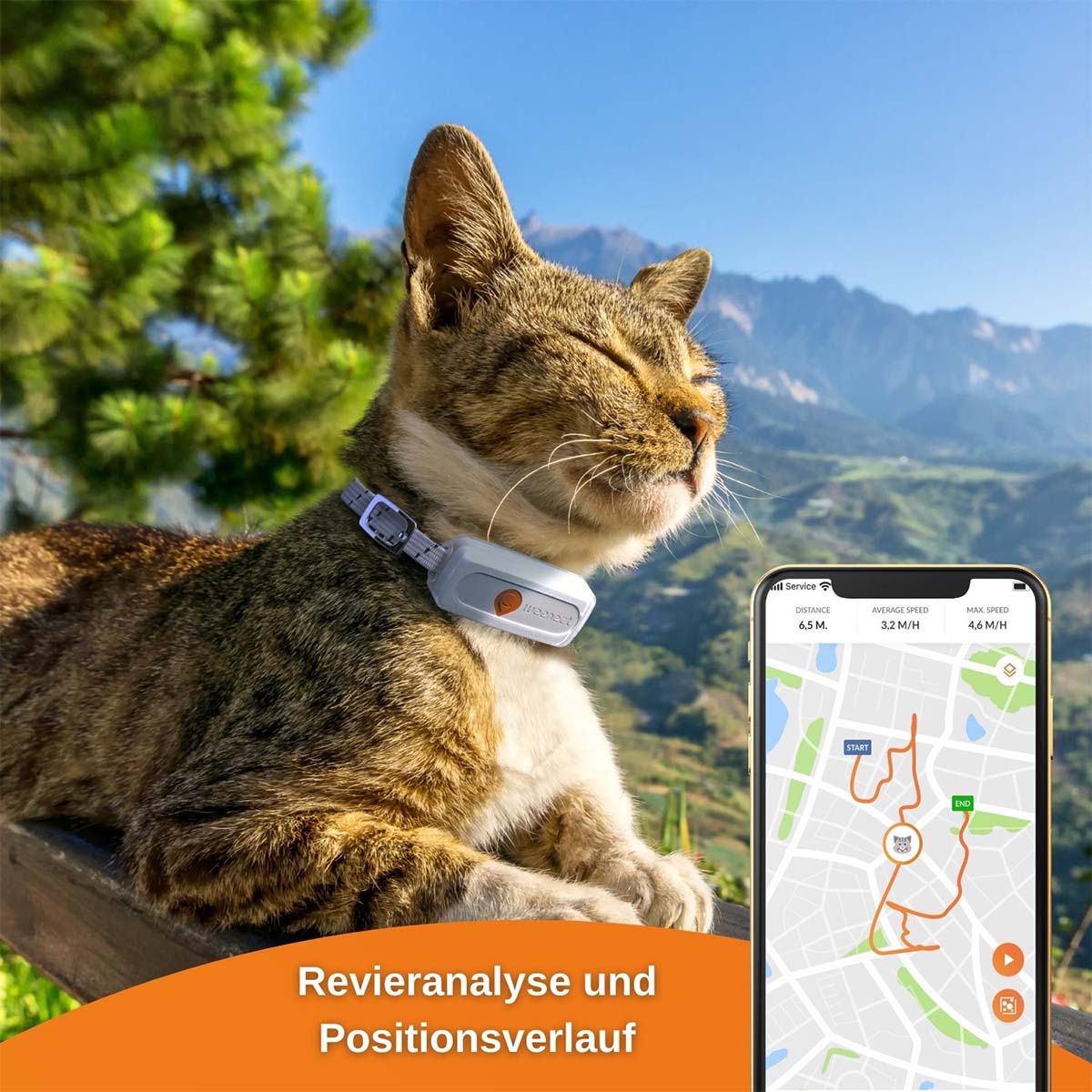 Weenect XS GPS Tracker für Katzen günstig kaufen