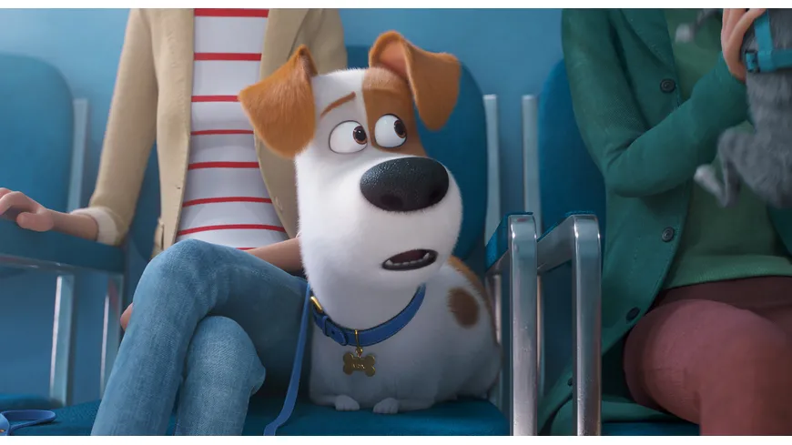 Pets 2