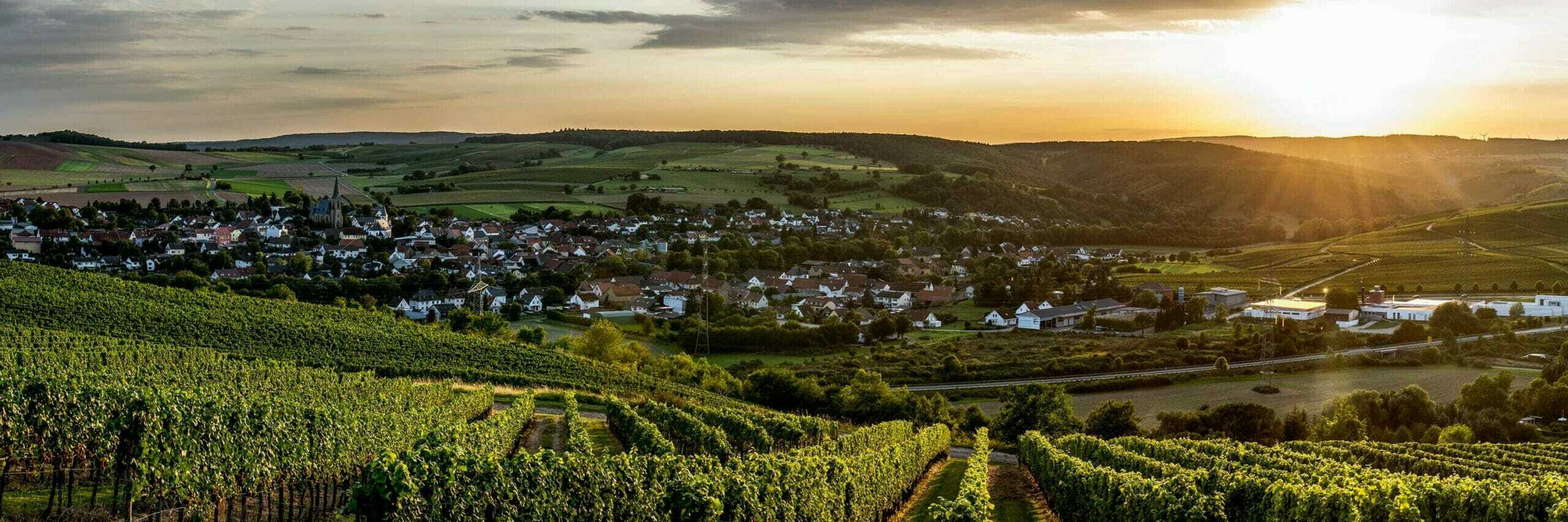 Kolonne Null : Cépage Verdejo désalcoolisé 0.5% - Edition 2021 - Gueule de joie 0.5° |  75 cl