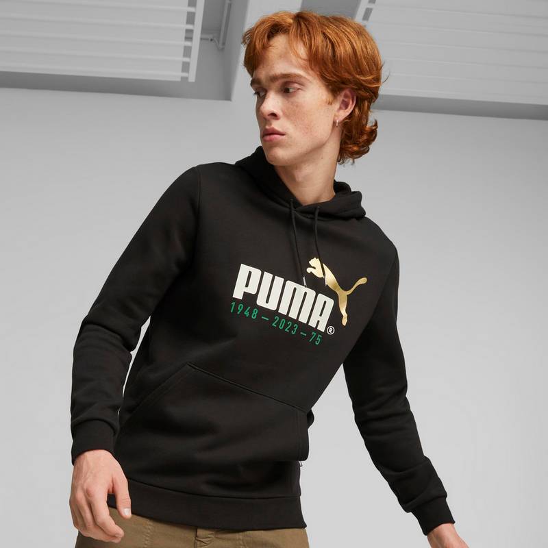 PUMA No. 1 Logo Celebration Hoodie Herren