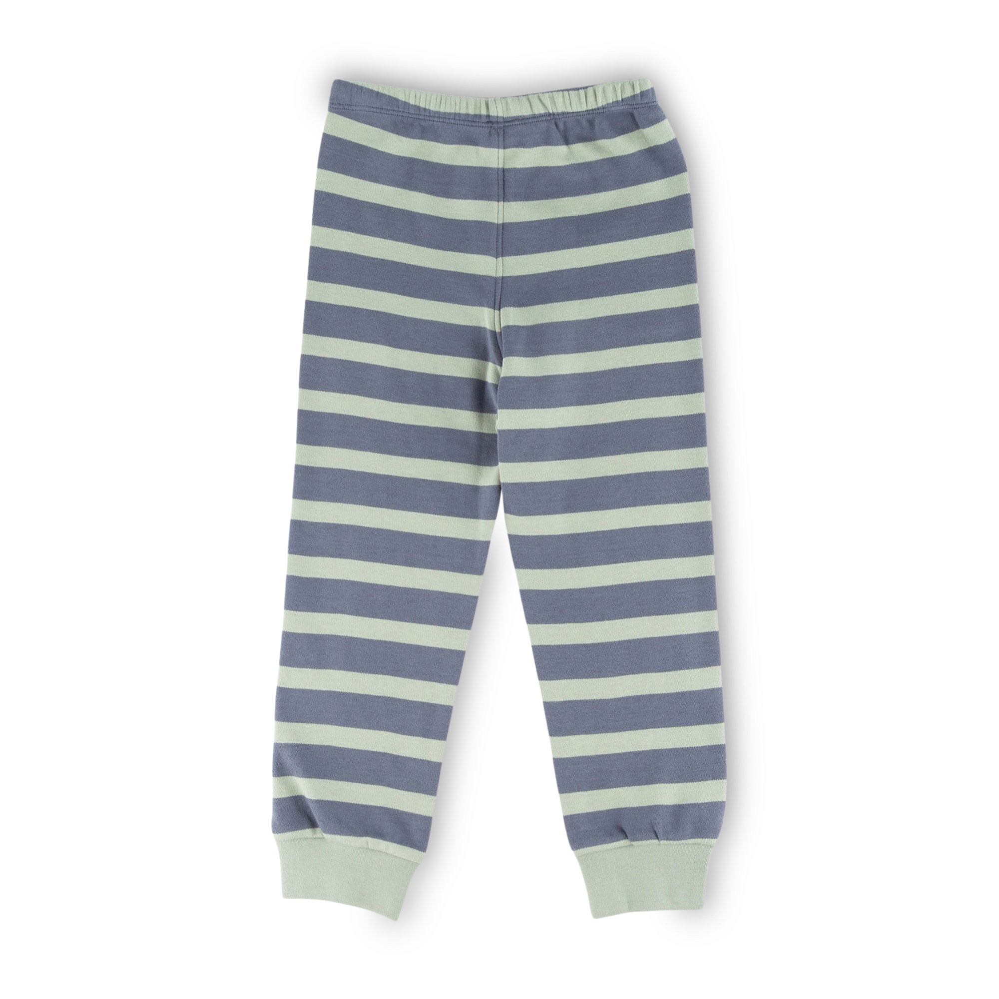 Langer Kinder Schlafanzug Chamäleon, grün-blau