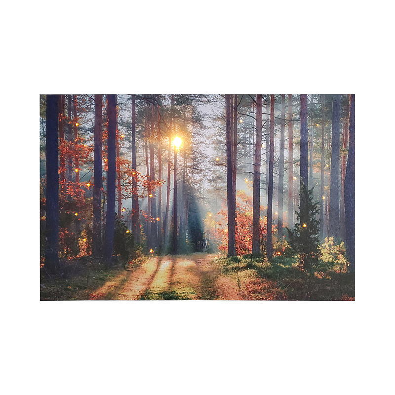 Home Canvasbilde 38x58 cm LED/fiberoptik Autumn