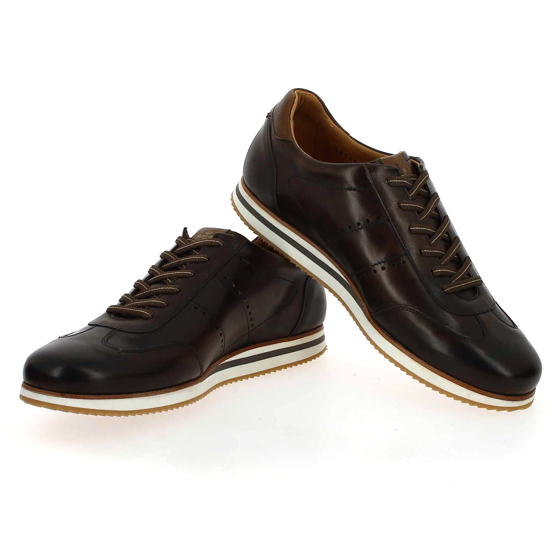 Berwick  4998 245 - Marron