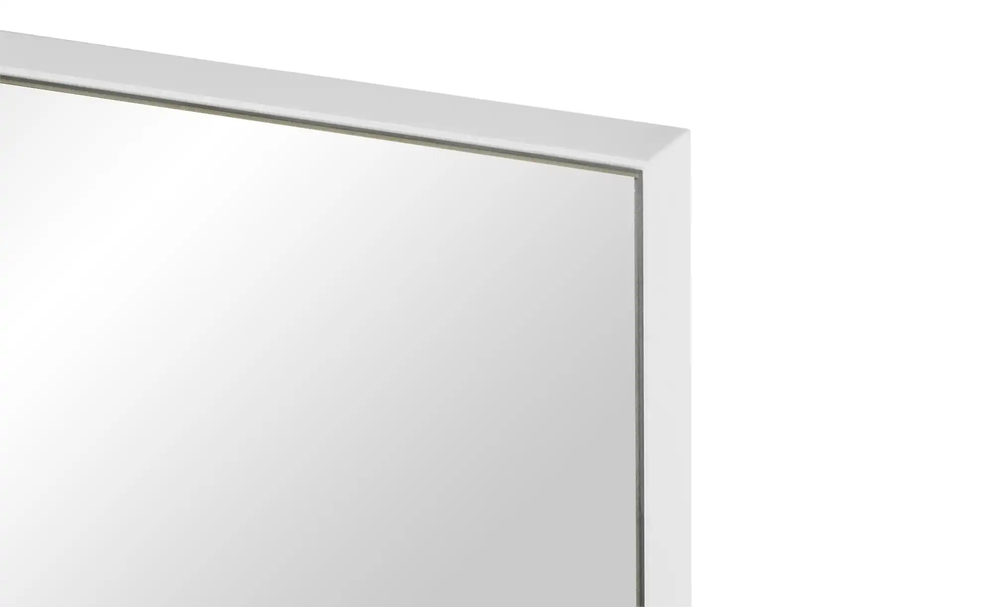 Spiegel 42 x 170 cm