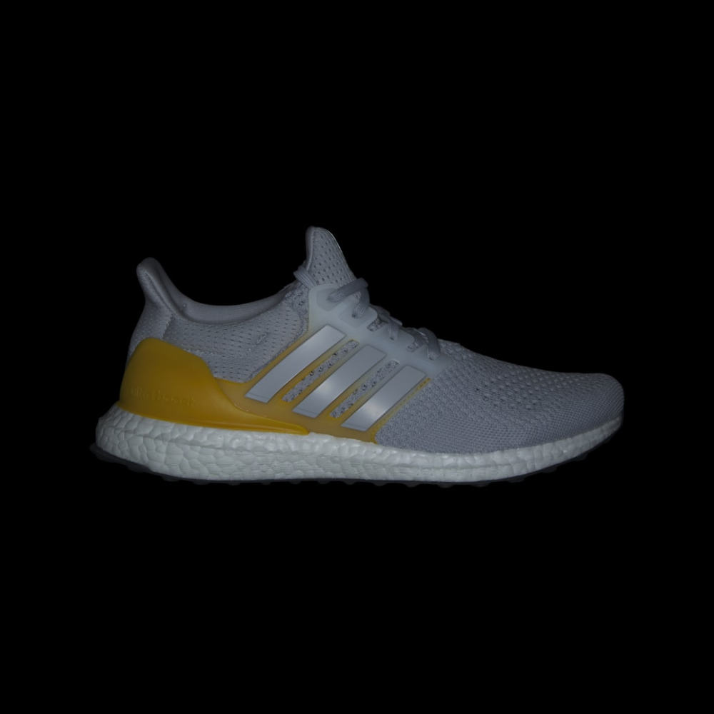 adidas Ultraboost 1.0 GY7479 / grau