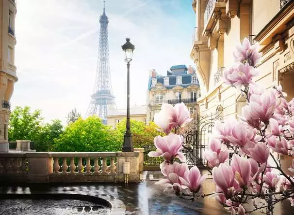 Puzzle 500 Teile - Frühling in Paris