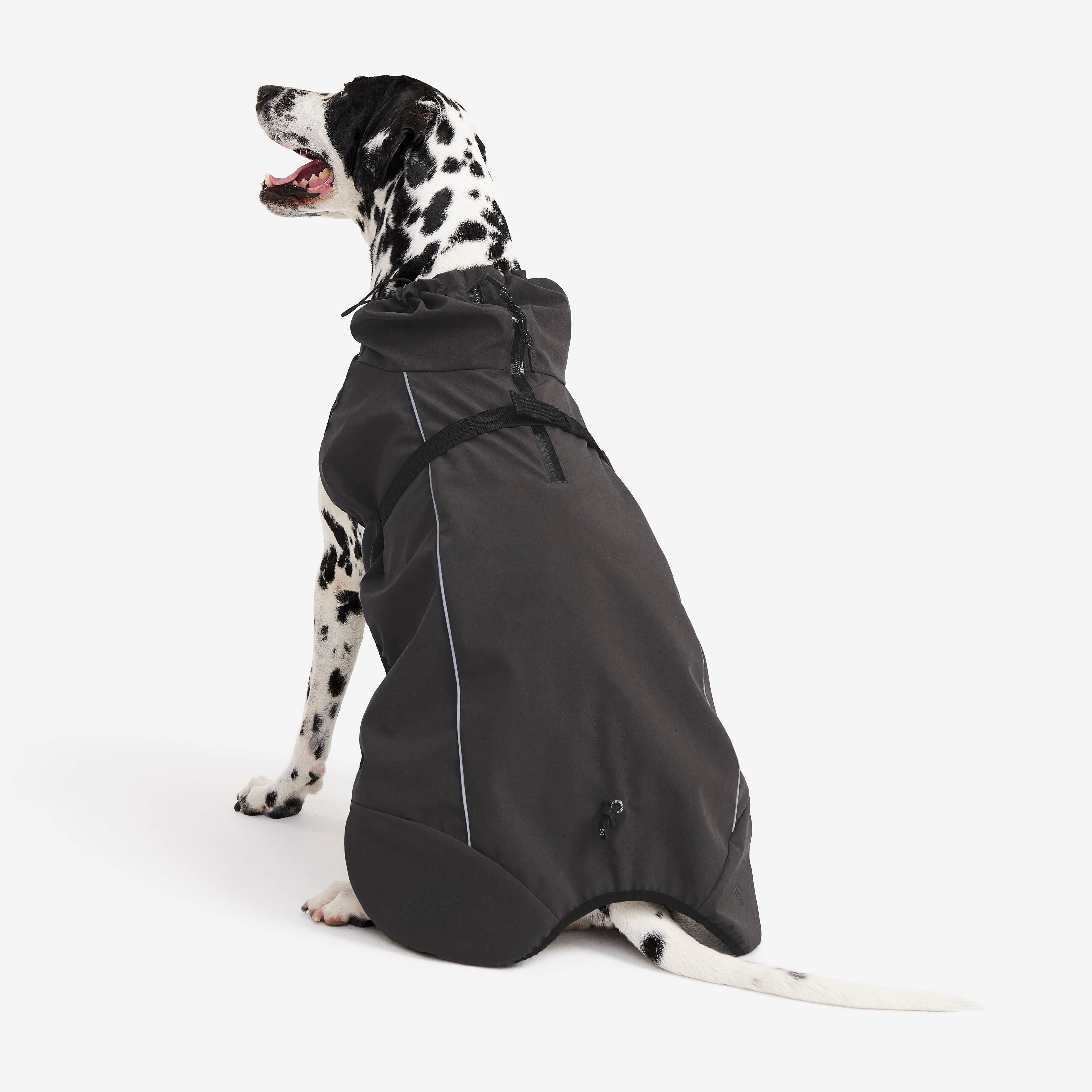 Cyclone Dog Jacket Chien Obsidian